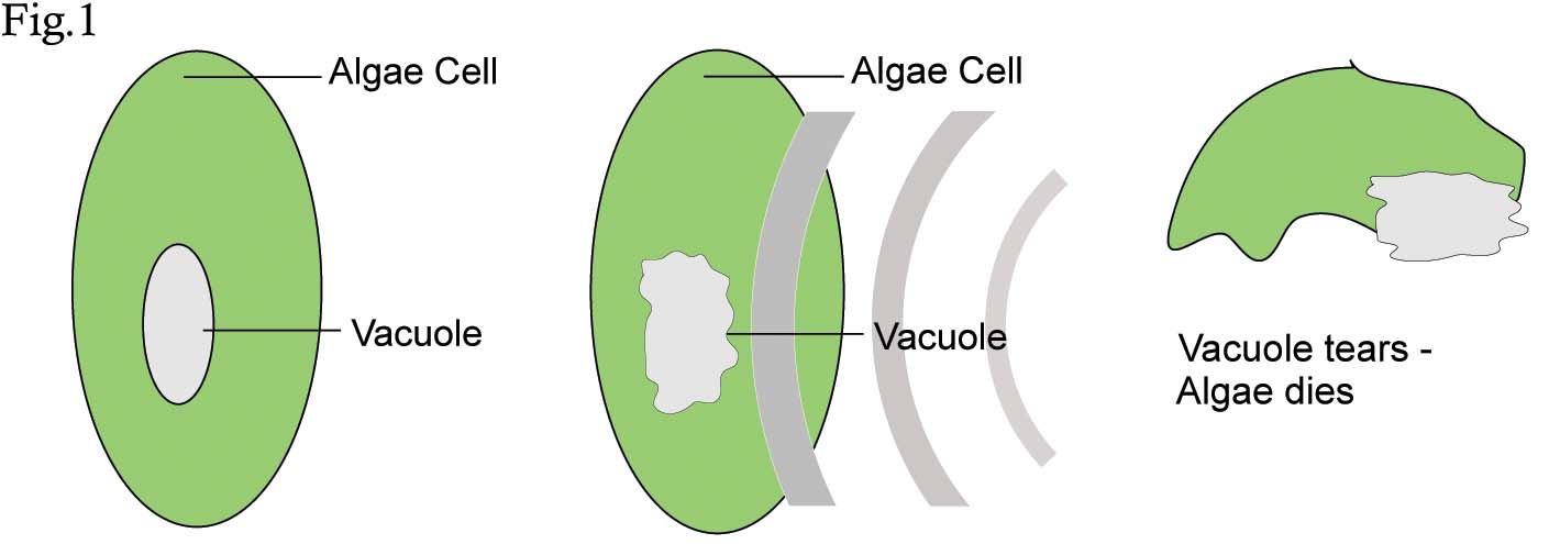 figure1.jpg