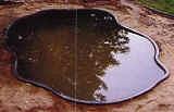 fill-pond-small.jpg